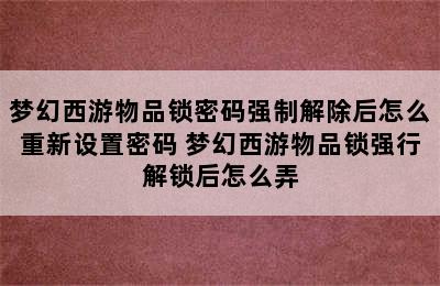 梦幻西游物品锁密码强制解除后怎么重新设置密码 梦幻西游物品锁强行解锁后怎么弄